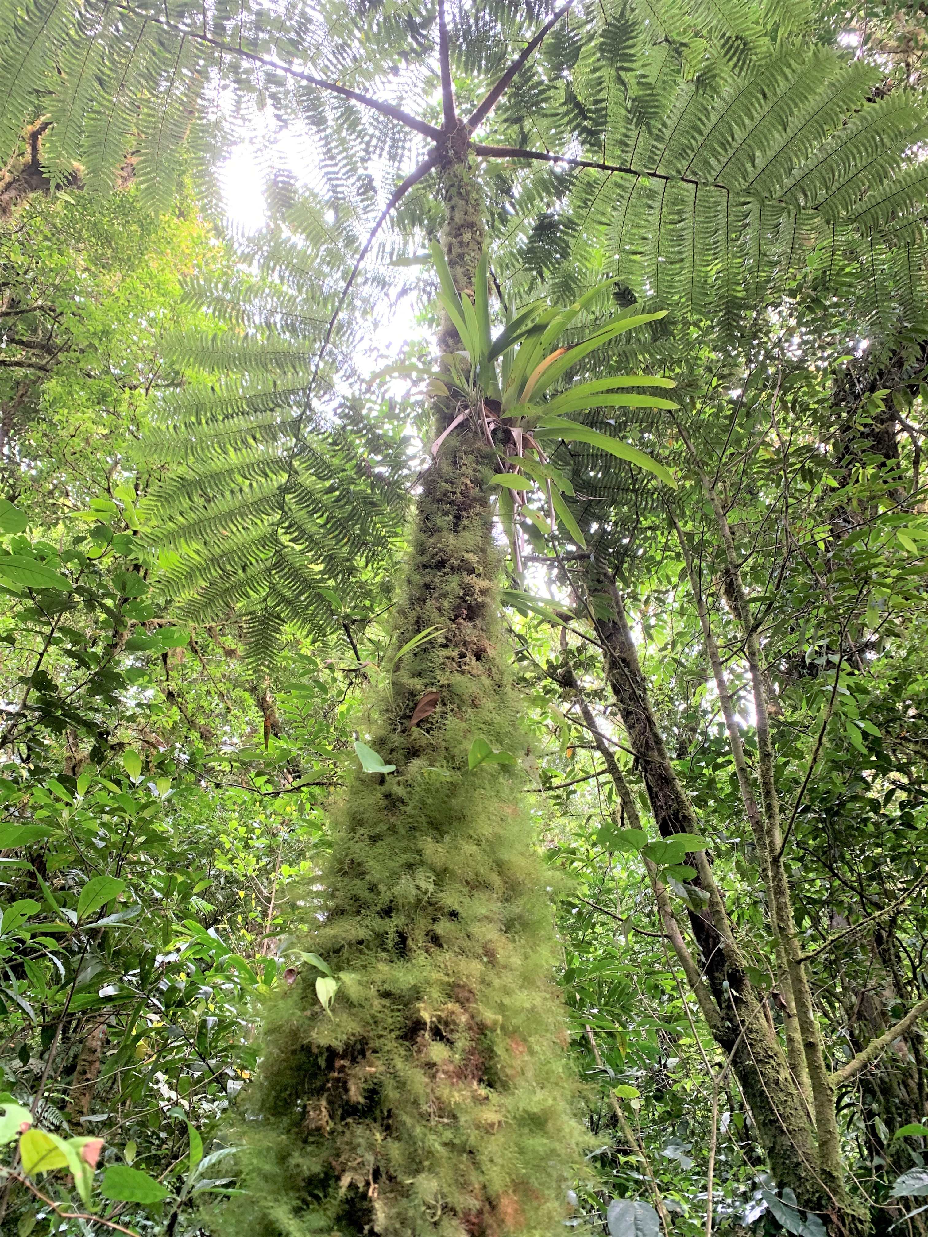 Costa Rica
